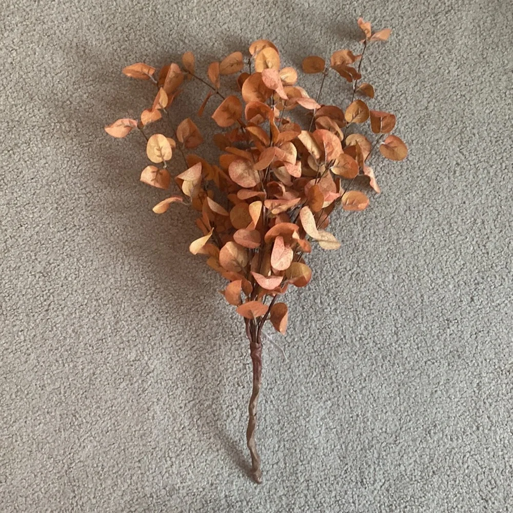 Ragoon House Orange Eucalyptus